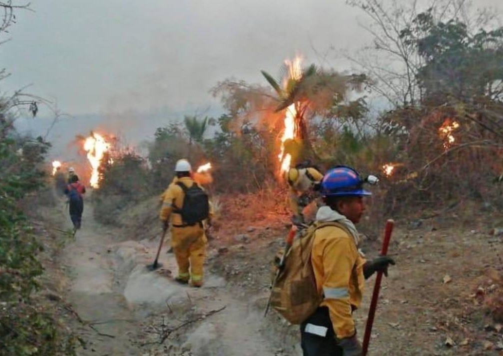 Rescatistas de Protección Civil de Guerrero atendiendo el incendio forestal. Foto: El Sol de Acapulco.