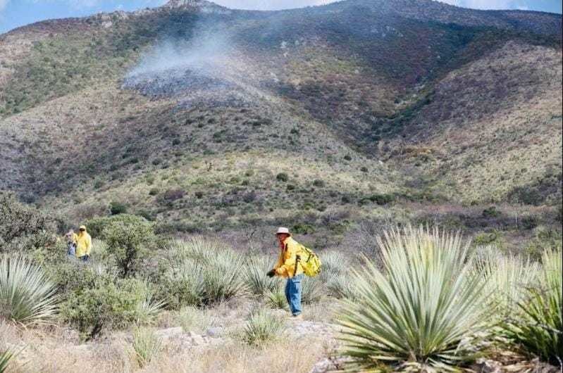 Está comprobado que los paseantes son los principales implicados en estos siniestros. (Fotografía: Gobierno de Saltillo)