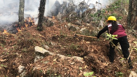 Plan Tamaulipas en acción: Combate al incendio forestal en 'La Chona' continúa