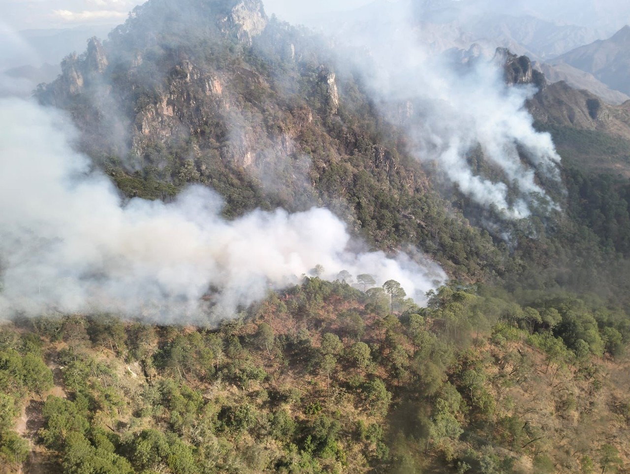 en lo que va del año se han registrado 190 incendios forestales en Durango. Foto: Cortesía.
