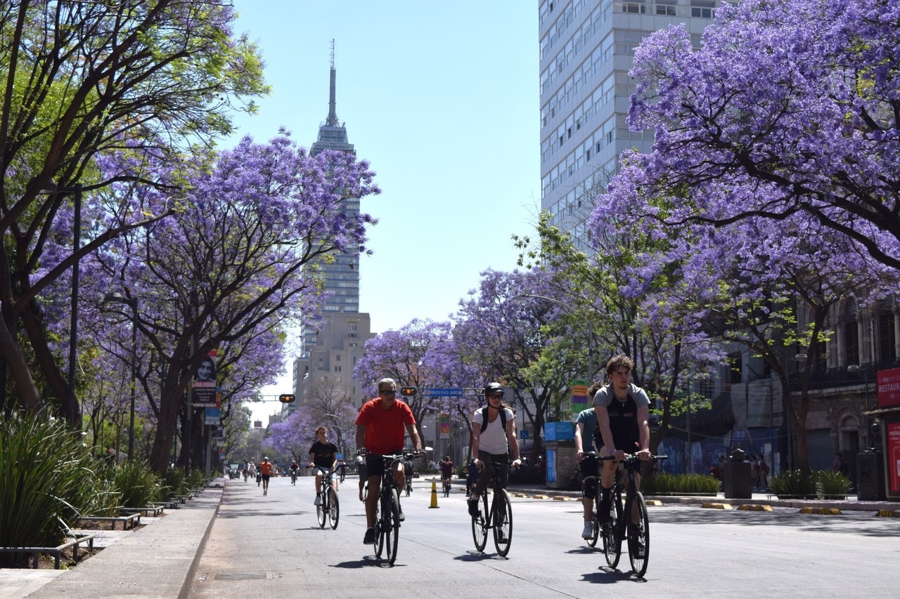 Personas en bicicletas en el Centro Histórico. Foto:@MIBiciCDMX