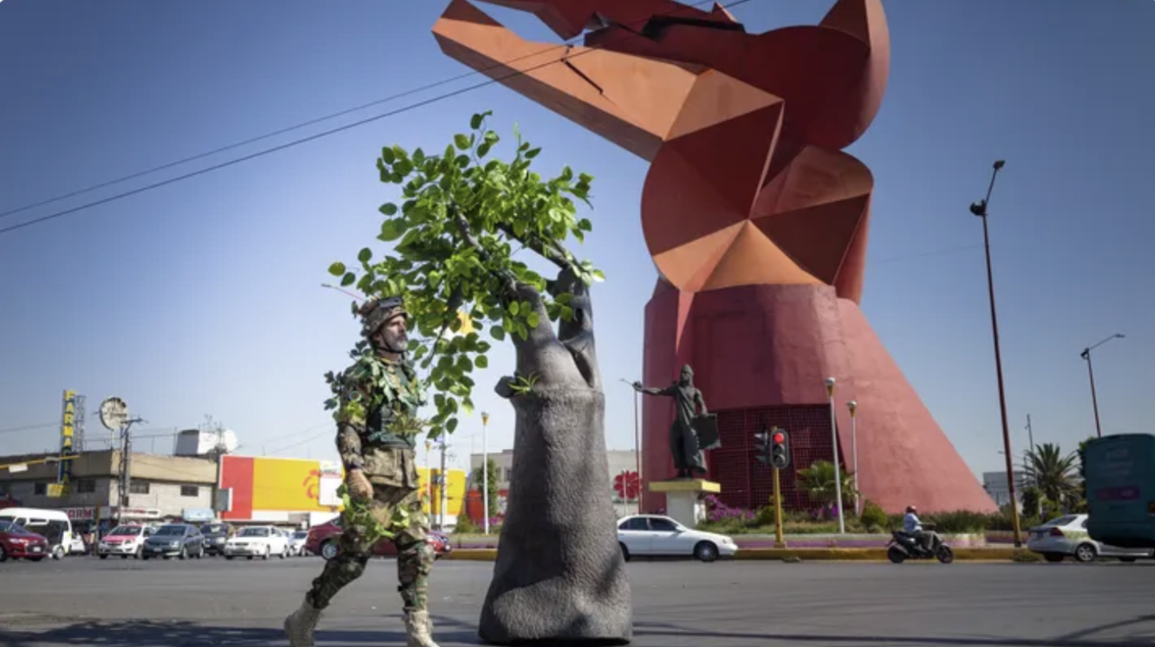 Comandante Hernández. Foto: ¡Rescatemos a nuestros árboles urbanos! de GoFundMe
