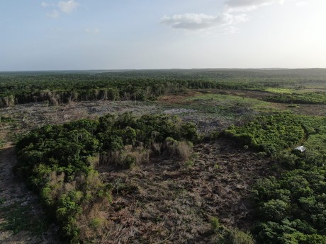 Incendios forestales en Yucatán han arrasado más de 71 mil hectáreas al año