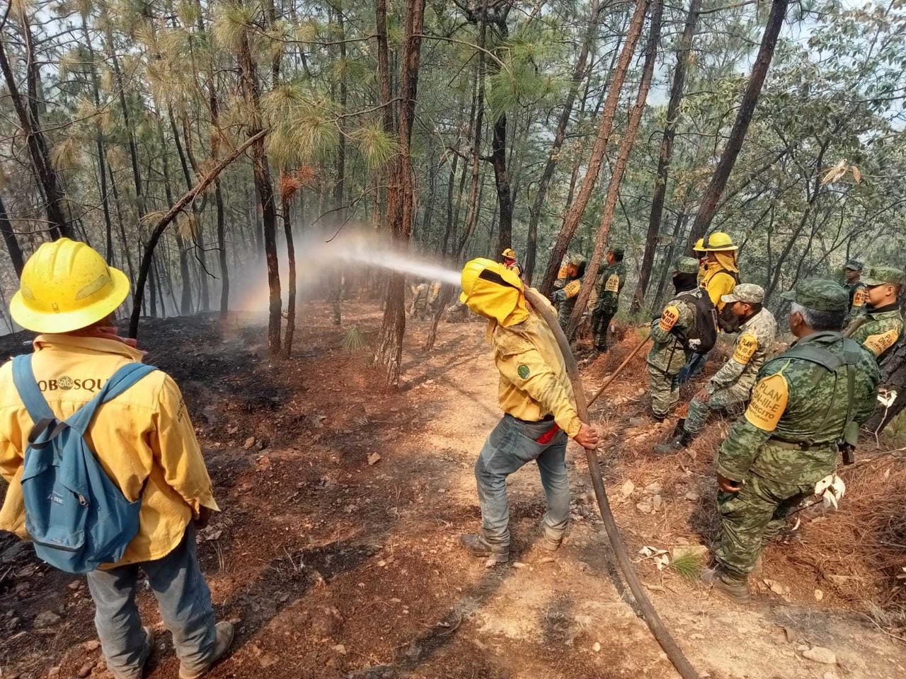 Los brigadistas trabajan en la liquidación total del  incendio forestal en Tejupilco. Foto: Probosque