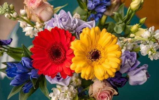 Edomex: Líder en producción de flores para el Día de las Madres. Foto: iStock