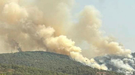 ¿Incendios forestales cobran una vida más en Edomex?