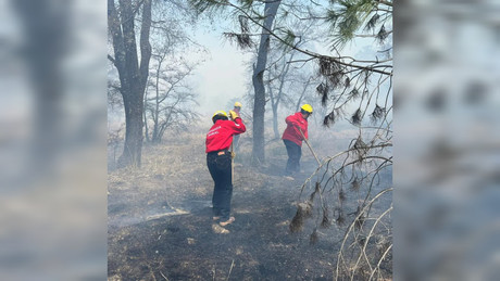 Durango dentro de los 10 primeros lugares de incendios forestales en el país