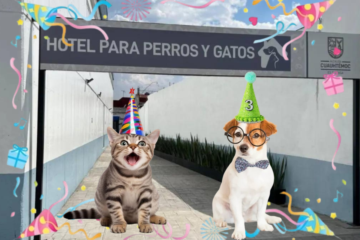 Fachada de Hotel para Perros y Gatos abandonados y perro y gato con gorrito de cumpleaños.   Foto: Especial