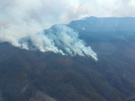 CONAFOR: Afectan 185 incendios forestales a México (VIDEO)