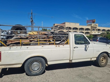 Presunto delito ambiental: policía detiene camioneta con madera Ilegal