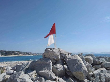 Alerta por presencia de 'aguamala' en playas de Los Cabos