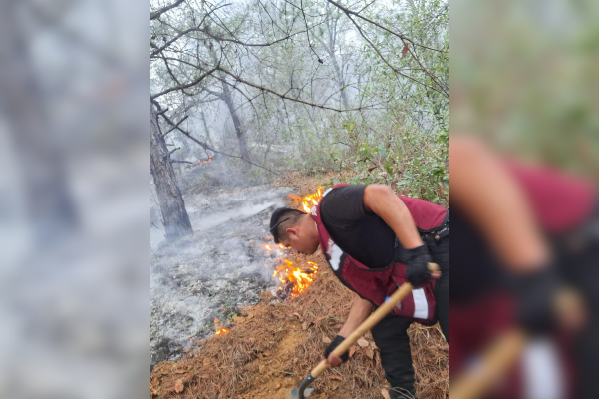 Personal de la Guardia Estatal continúa apoyando con las labores de contención y extinción del incendio forestal en Jaumave. Foto: Guardia Estatal.