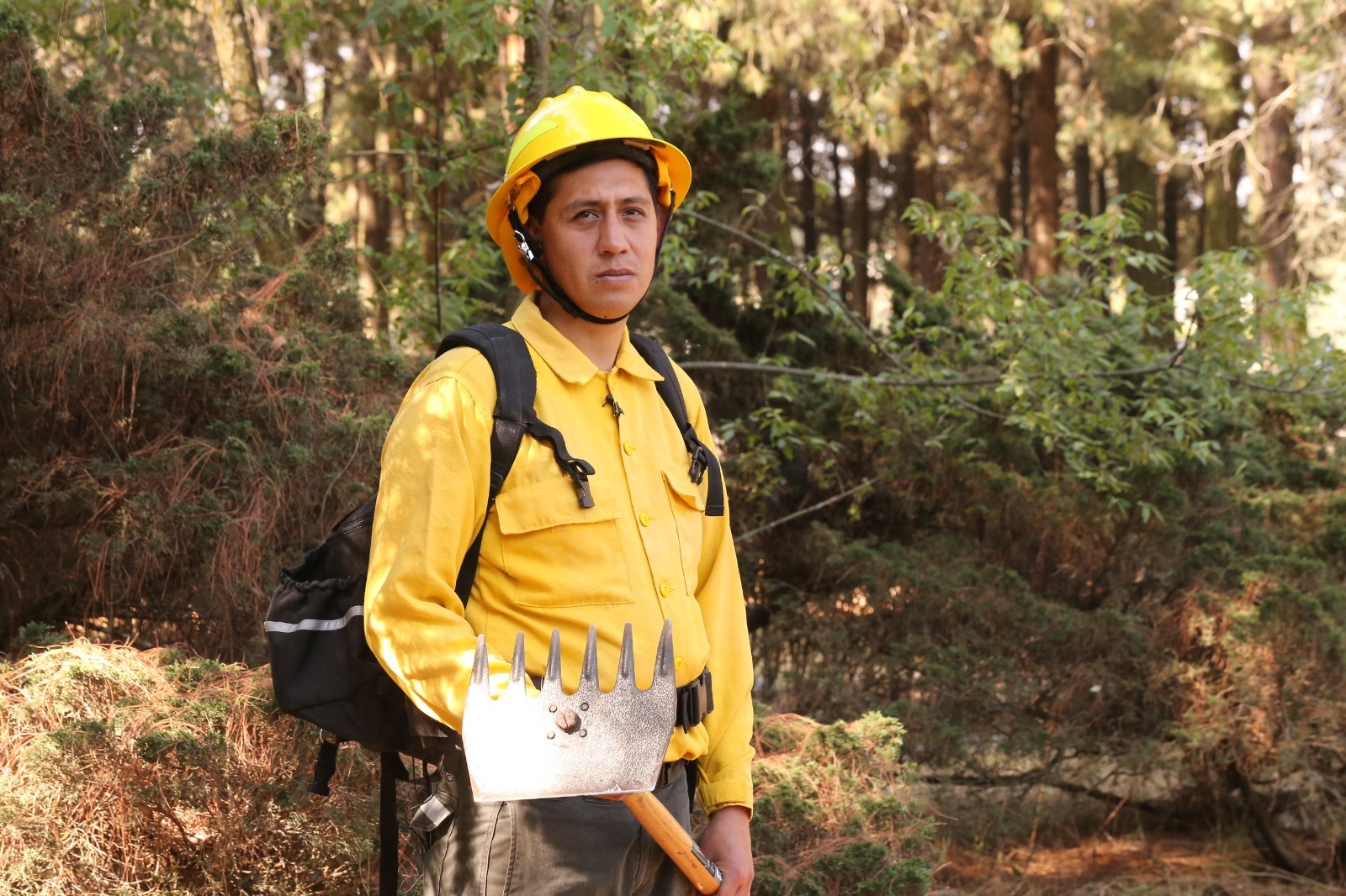 Detecta Centro Estatal del Fuego incendios forestales en tiempo real en Edoméx. Foto: Probosque
