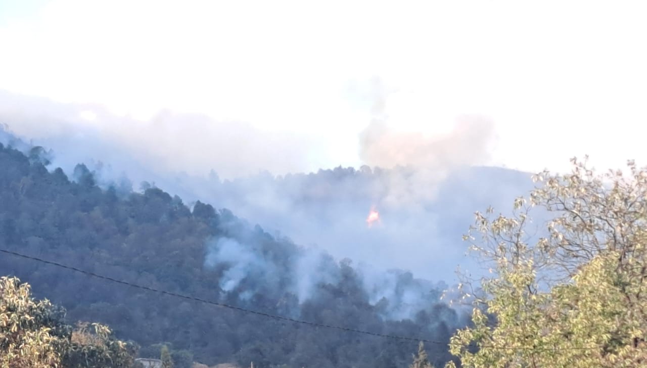 Incendios forestales activos en el Edoméx. Foto: POSTA 