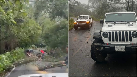 Retiran árboles en Sierra de Santiago tras tormenta 'Alberto'