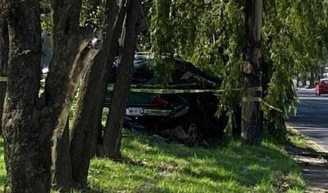Toluca: Automovilista pierde la vida al chocar contra árboles
