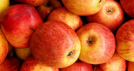 Apoyará Coahuila a productores de manzana con subsidios de hasta el 50 %