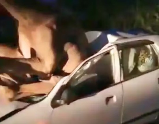 El camello quedó incrustado en el vehículo tras el choque. Foto: X @SacinuptaUP