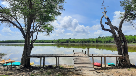 ¡Resucitó! Lluvias le devuelven la vida a la laguna Nachi Cocom en Tizimín