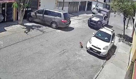 Patrulla de Ecatepec atropella a perrito (VIDEO)