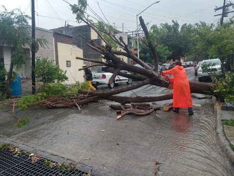 Gobierno de Santa Catarina limpia calles tras tormenta Alberto