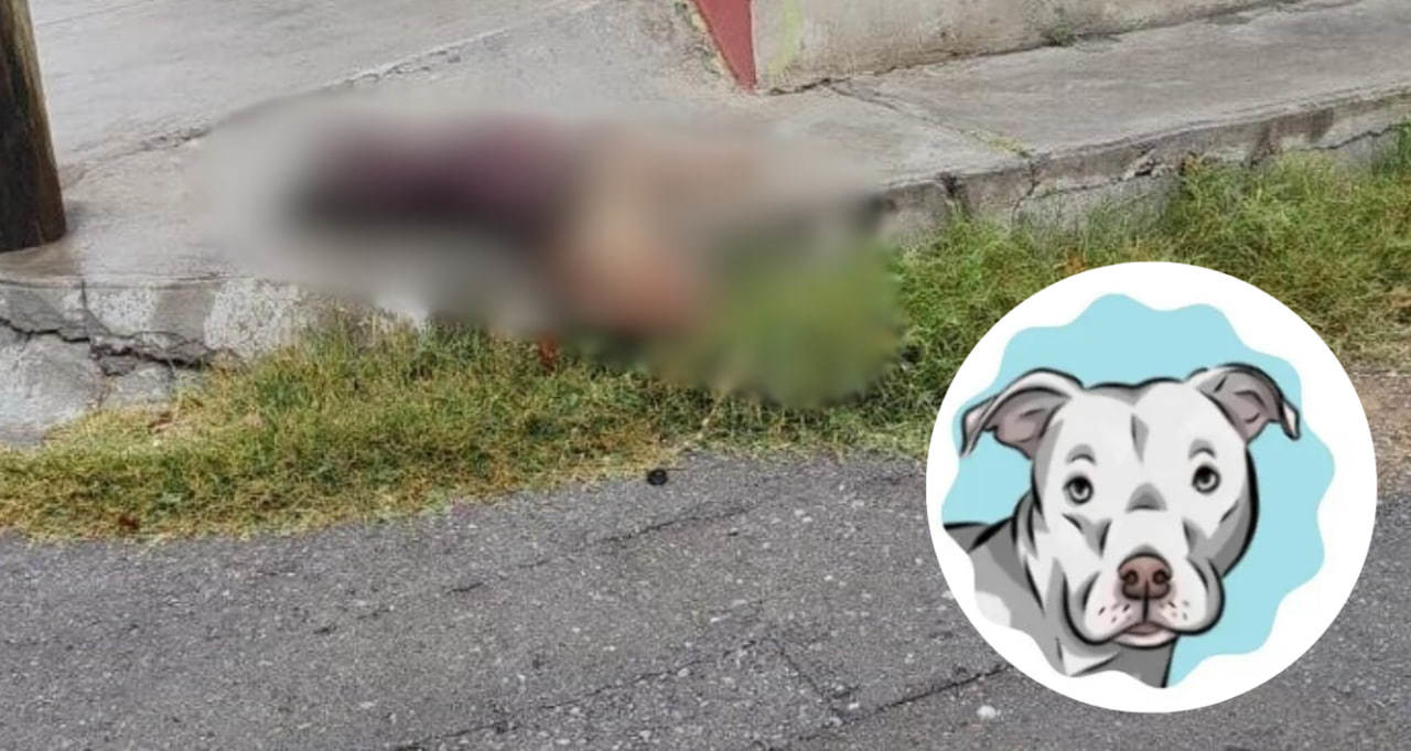 'Wero' murió apuñalado presuntamente por una mujer en Saltillo.  (Fotografía: Archivo)