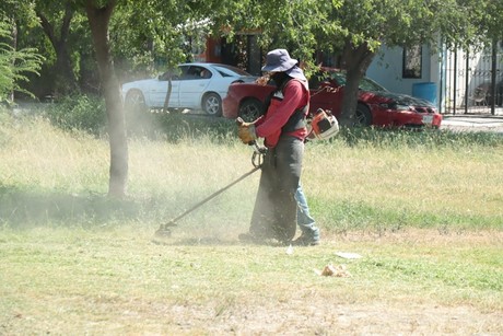 Realizan trabajos de deshierbe en plazas públicas de Juárez