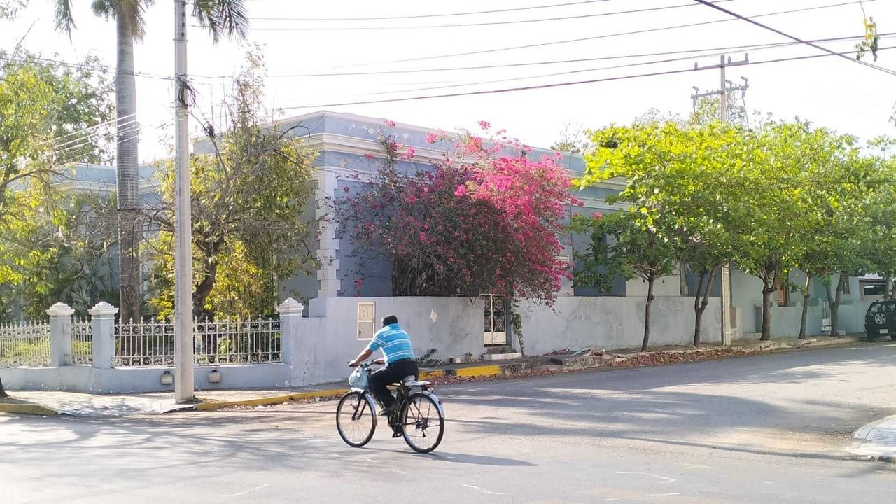 En el Día Mundial de la Bicicleta, conoce algunos de los beneficios de usar bici. Foto: Alejandra Vargas