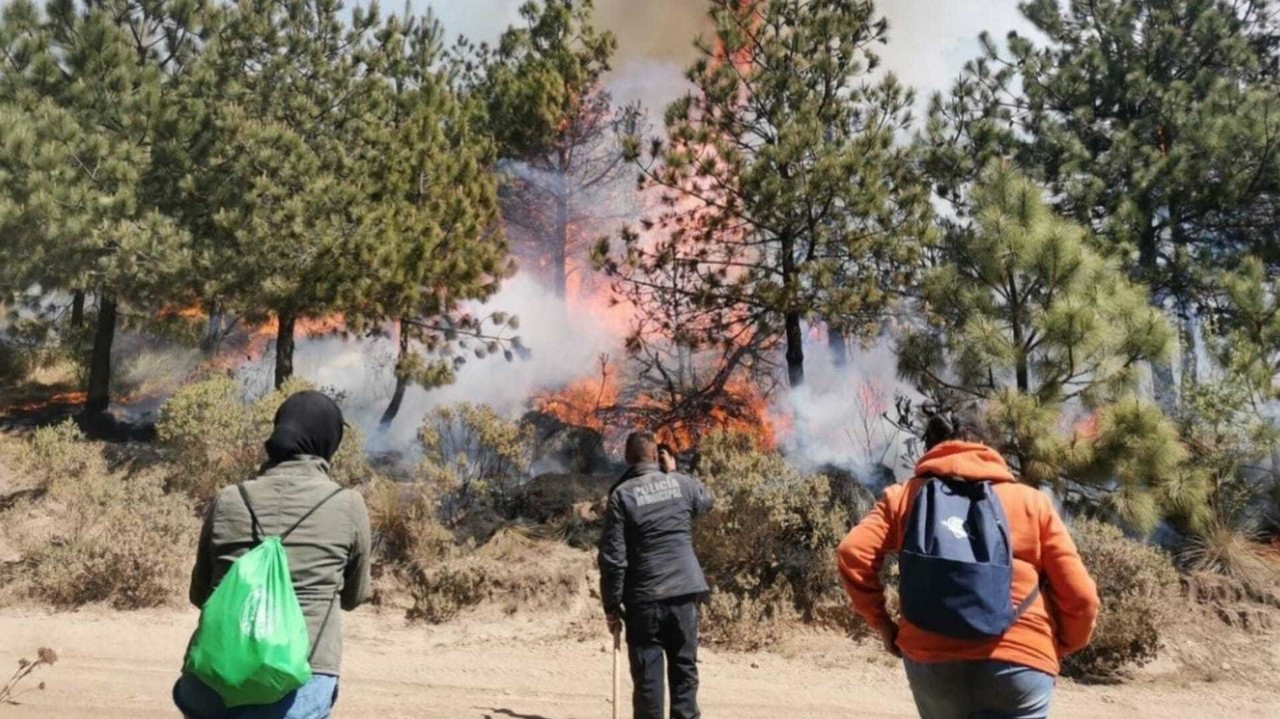 Los incendios forestales en Edomex se han registrado, sobre todo, en el sur de la entidad. Foto:  FB Bailes Temoayenses