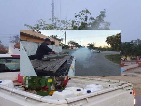 Intensifican programa de fumigación contra moscos en Progreso