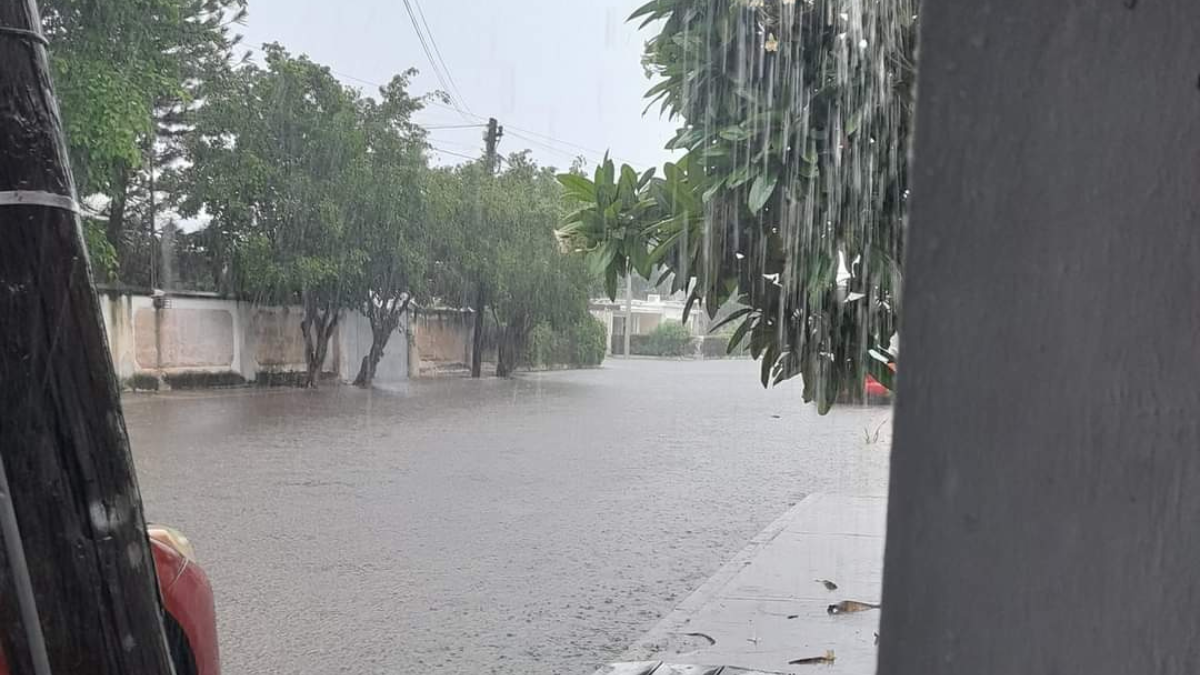 Se recomienda tomar precauciones pues será un fin de semana lluvioso Foto: Alejandra Vargas