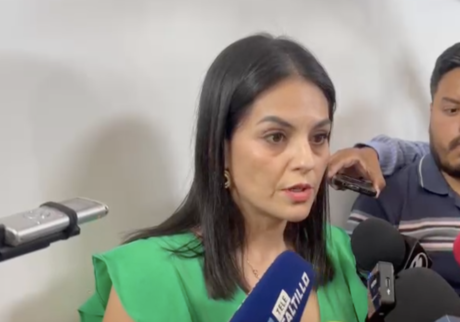 Preocupa a Luz Elena Morales mayoría de Morena en Congreso de la Unión
