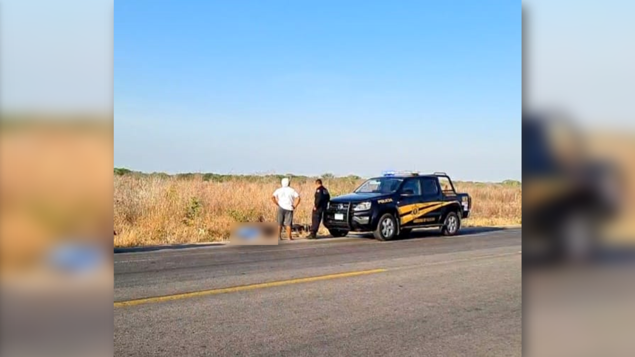 El joven se encontraba viajando hacia Mérida cuando ocurrió el fatal incidente Foto: Redes sociales