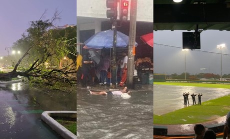 Lluvias en Mérida: Entre árboles caídos, calles inundadas y eventos cancelados