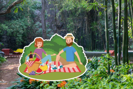 Checa esta guía definitiva para organizar un pícnic en el Bosque de Chapultepec