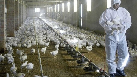 Mexiquense no murió por gripe aviar: OMS
