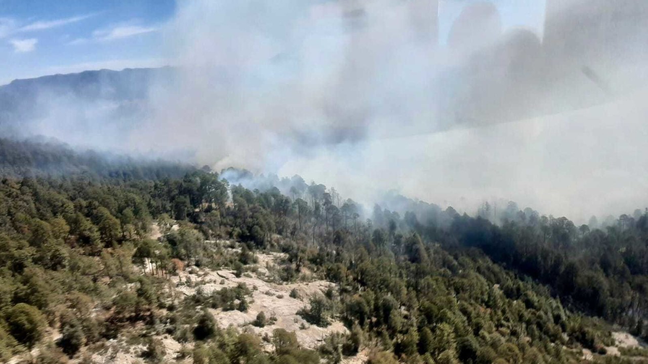 El reporte de los incendios forestales fue presentado por la Secretaría de Recursos Naturales y Medio Ambiente. Foto: Especial.
