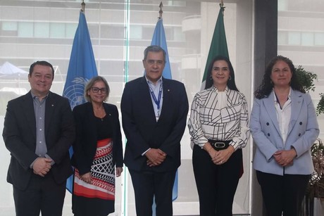 Mónica Villarreal Anaya se reúne con Organismo Internacional de la Salud
