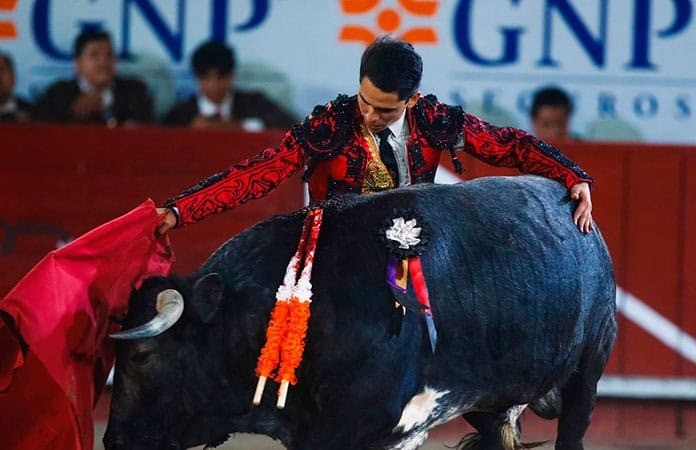 Regresan corridas de toros a Victoria