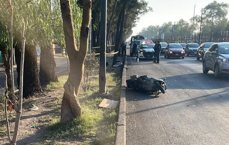 Muere motociclista al chocar contra un árbol en Iztacalco