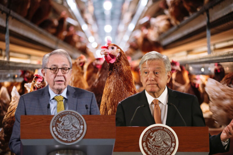 Gobierno desmiente caso fatal de gripe aviar en ZMVM