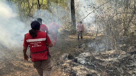 Alarman dos incendios forestales en Villa del Carbón y Jilotzigo (VIDEO)