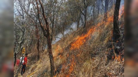 ¡Alerta! Incendios forestales en Ocuilan y Tianguistenco (VIDEO)