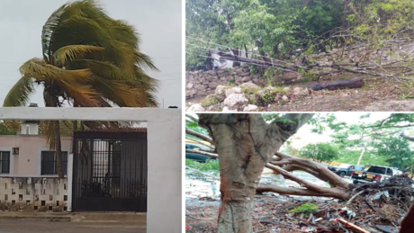 Turbonada con fuerza de tormenta tropical deja estragos en Mérida