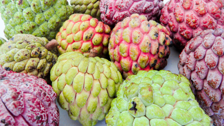 Esta es la fruta que se da en Yucatán y ayuda a prevenir el cáncer y la anemia