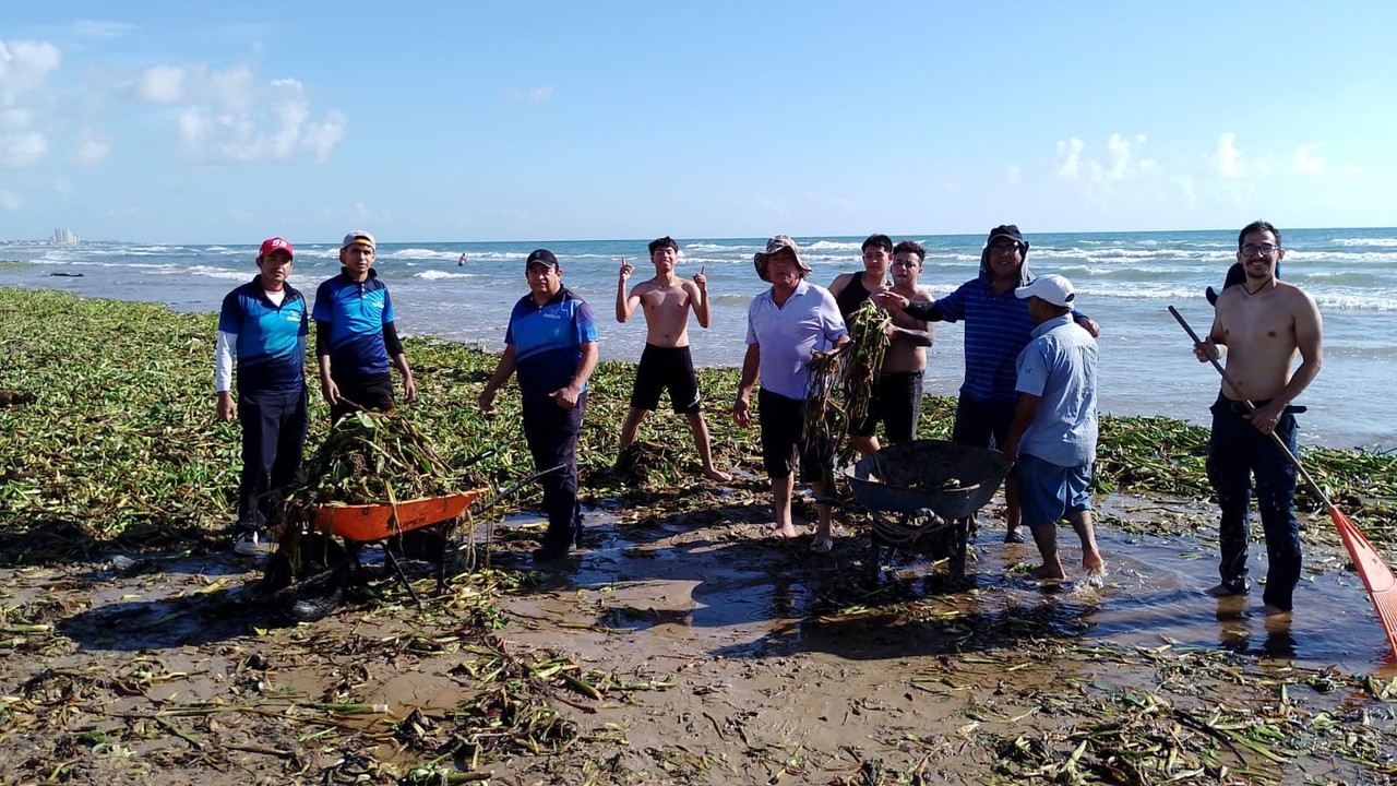 Limpian playa Miramar de lirio acuático. Foto: redes sociales