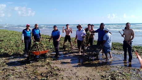 Medidas de limpieza en playa Miramar por lirio acuático