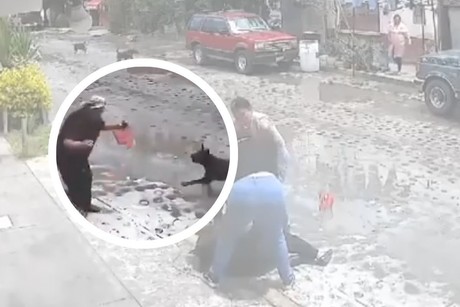 Video viral: mujer de la tercera edad es atacada por perros