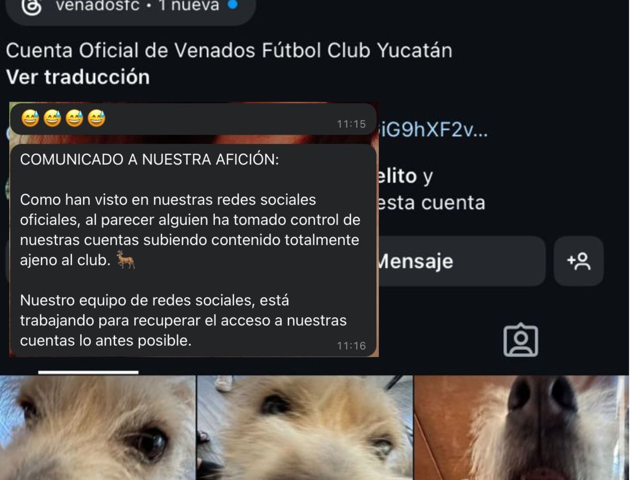 La mañana de este jueves usuarios de redes sociales se mostraron sorprendidos por las publicaciones que se realizaron en las cuentas del club de fútbol Venados FC Yucatán.- Foto de redes sociales