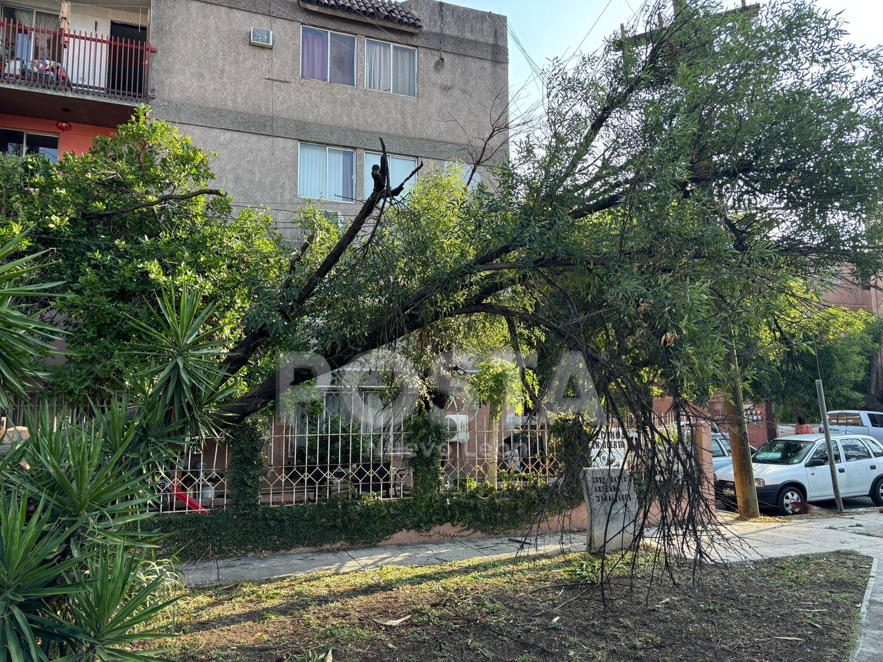 El árbol que cayó afectó el sistema de cables que pasan por los domicilios. Foto: Diego Beltrán.